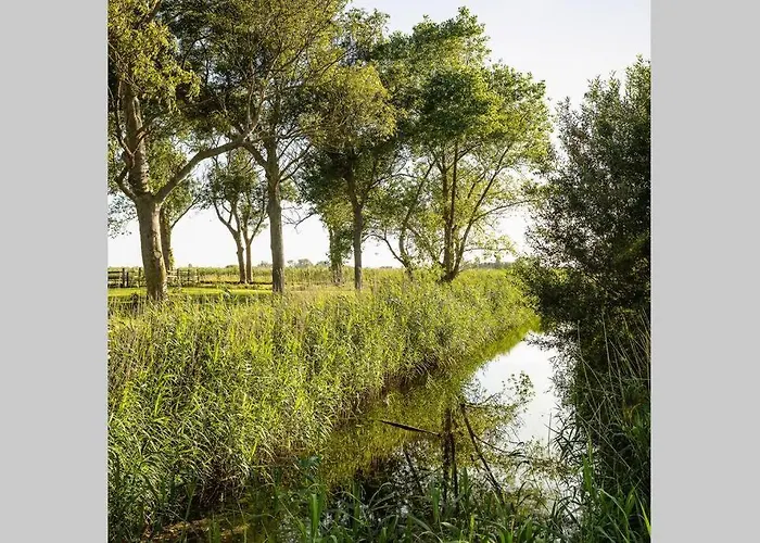 Domein Lepelem De Haan